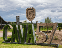 La calidad de los vinos queretanos, elaborados con métodos tradicionales como los de Cava 57, ha alcanzado nuevos hitos regulatorios y comerciales. Cava57 ESPECIAL