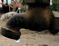 El SIAPA anunció un sistema de reducción de presión de agua en 627 colonias de la Zona Metropolitana de Guadalajara. EL INFORMADOR/ARCHIVO