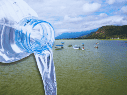 Dicha cantidad de agua almacenada resulta fundamental tanto para el equilibrio del ecosistema local como para el consumo humano en las zonas urbanas aledañas. ESPECIAL / CANVA