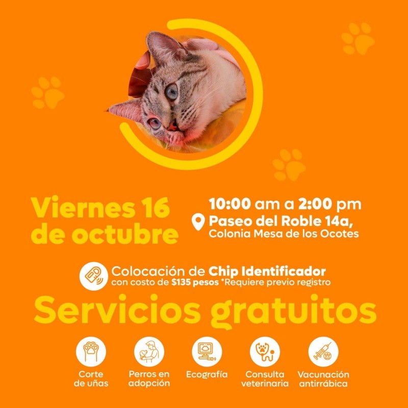 CORTESÍA/ Protección Animal Zapopan. 