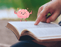 Abrir un libro hoy es la receta más accesible y económica para garantizar un cerebro ágil, lúcido y plenamente saludable en el futuro. ESPECIAL / CANVA