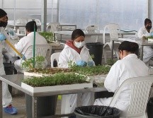 A partir del 1 de enero del 2027, la jornada laboral pasará de 48 a 46 horas semanales. EL INFORMADOR/ARCHIVO
