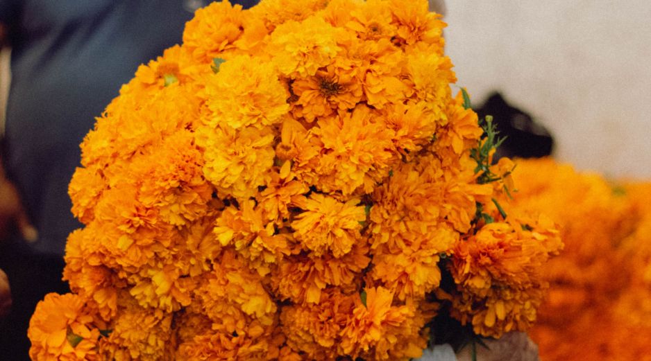 Un elemento indispensable en estas ofrendas es la flor de cempasúchil. ESPECIAL/PEXELS