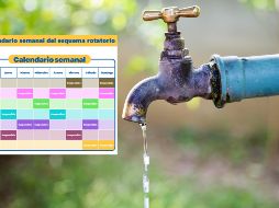 Para planificar la semana, ten en cuenta el calendario completo de rotaciones. ESPECIAL / CANVA