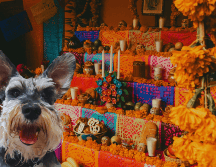 El primer altar de muertos no se dedica a los humanos, sino a los compañeros más leales. ESPECIAL / CANVA