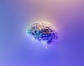 Así es como tu cerebro te impide avanzar y cómo lo puedes engañar para avanzar.