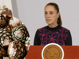 Los precios del agave han bajado hasta 50 centavos por kilo para productores independientes. El sector pide una planeación estratégica y fomentar los contratos de cultivo para estabilizar el mercado. YOUTUBE/CLAUDIASHEINBAUMPARDO