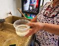 La rotación comenzó el 15 de octubre en 627 colonias, tras suspenderse el uso del agua de Las Pintas y del sistema antiguo de Chapala por problemas de calidad. EL INFORMADOR/J. Acosta