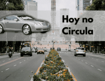 Esta estrategia gubernamental busca proteger la salud pública y mejorar la calidad del aire de forma constante, especialmente en situaciones críticas que ponen en riesgo a la población vulnerable. ESPECIAL/Canva