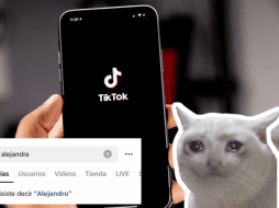 Usuarias de TikTok denuncian que la red social eliminó la palabra 