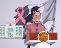 La Presidenta Claudia Sheinbaum destacó que se busca  ESPECIAL / ARCHIVO PRESIDENCIA