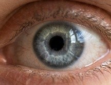 ¿Cuánta mirada es mucha mirada? ESPECIAL / UNSPLASH Filipp Romanovski