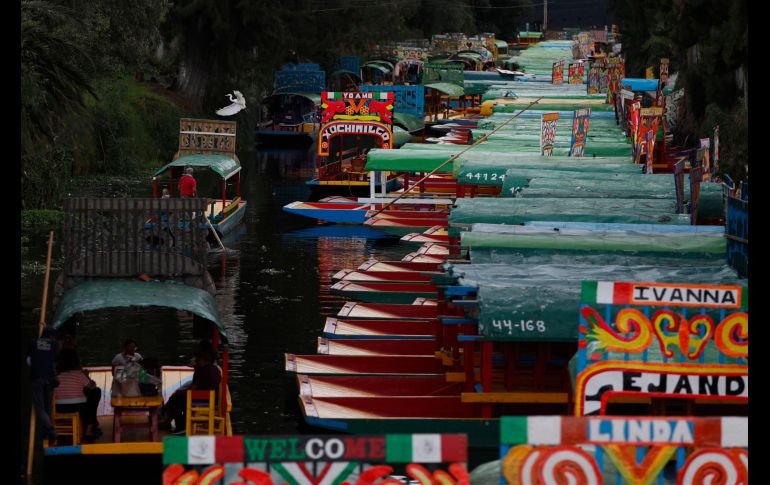 La flor de cempasúchil, la música, el olor a chocolate caliente y las leyendas invaden los canales de Xochimilco en esta temporada. AP/ARCHIVO