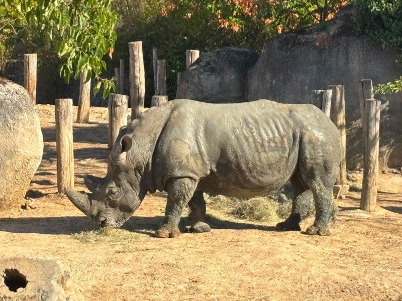 &nbsp;ZOOLÓGICO GUADALAJARA
