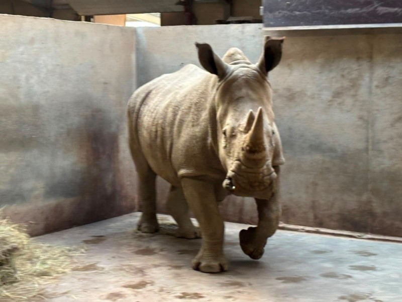 ZOOLÓGICO GUADALAJARA&nbsp;