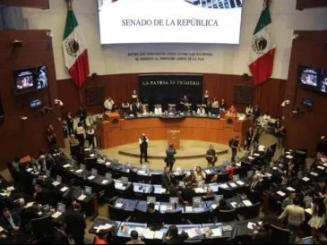 Con este dictamen la Secretaría de Hacienda podrá determinar los sectores estratégicos y actividades en los que los pagos digitales deberán convertirse en la única forma de pago. ESPECIAL