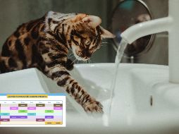 De acuerdo con el calendario oficial del esquema rotatorio del SIAPA, las zonas 2 y 4 son las que están contempladas para este jueves. ESPECIAL / CANVA y SIAPA