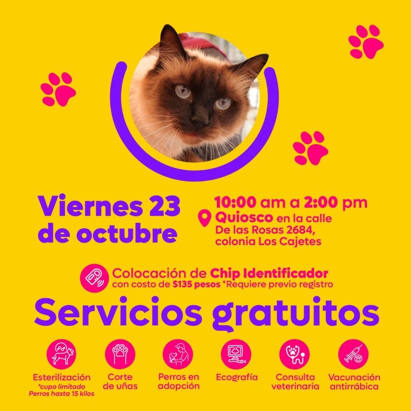 CORTESÍA/ Protección Animal Zapopan. 