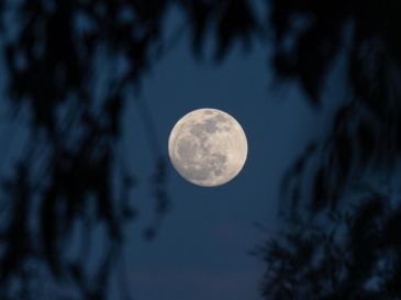 Te diremos cuándo y a qué hora ver la Luna del Cazador desde tu ciudad en México; en esta ocasión, no necesitarás de ningún equipo especializado para gozar del evento. PEXELS / G. Orozco Lucio