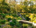 El Bosque los Colomos ofrece un respiro a quienes desean alejarse de la ciudad durante algunas horas. ESPECIAL