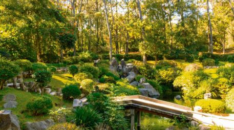 El Bosque los Colomos ofrece un respiro a quienes desean alejarse de la ciudad durante algunas horas. ESPECIAL