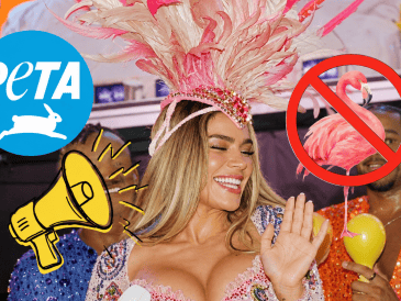 PETA reconoció la influencia de Karol G entre el público latinoamericano, pero consideró que incorporar elementos de origen animal a sus estilismos como las plumas en su vestuario contradice esa imagen positiva. INSTAGRAM / @karolg