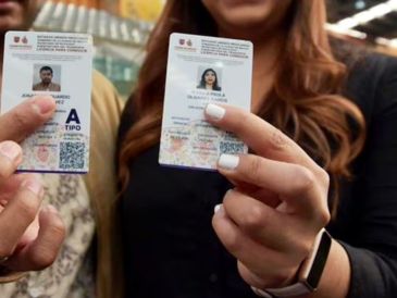 Obtener la versión digital de la licencia de conducir es un trámite sin costo que puede realizarse desde el celular. X/@ClaraBrugadaM