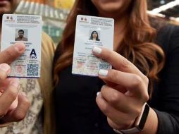 Obtener la versión digital de la licencia de conducir es un trámite sin costo que puede realizarse desde el celular. X/@ClaraBrugadaM