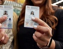 Obtener la versión digital de la licencia de conducir es un trámite sin costo que puede realizarse desde el celular. X/@ClaraBrugadaM