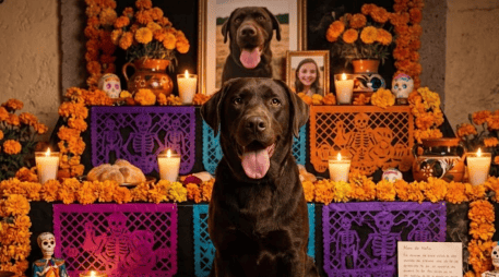 Homenaje virtual con herramientas tecnológicas que permiten crear emotivas ofrendas digitales para recordar a las mascotas fallecidas este 27 de octubre. IA/GEMINI
