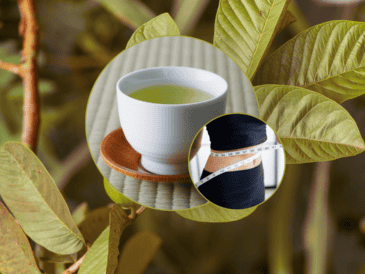 Al ralentizar la descomposición de los carbohidratos complejos en azúcares simples, la infusión ayuda a evitar picos drásticos de glucosa en la sangre después de comer. CANVA / ESPECIAL