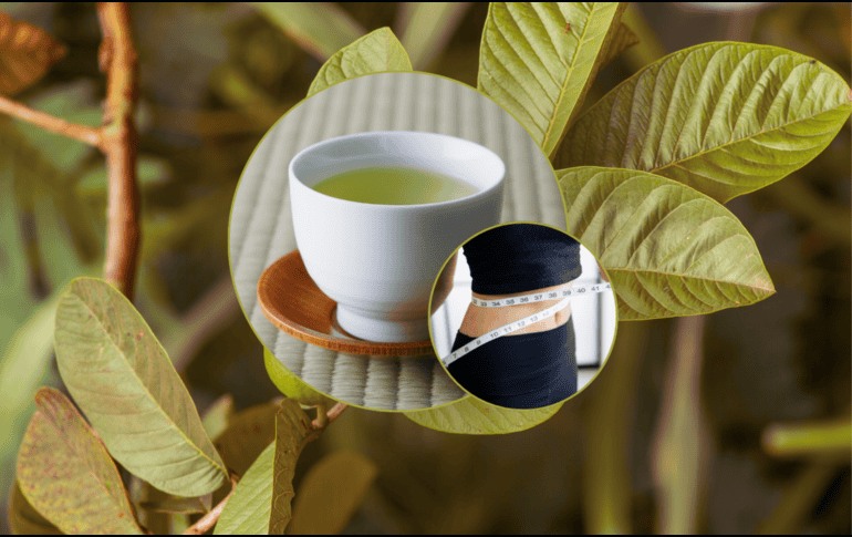 Al ralentizar la descomposición de los carbohidratos complejos en azúcares simples, la infusión ayuda a evitar picos drásticos de glucosa en la sangre después de comer. CANVA / ESPECIAL