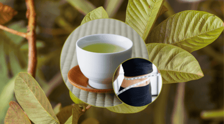 Al ralentizar la descomposición de los carbohidratos complejos en azúcares simples, la infusión ayuda a evitar picos drásticos de glucosa en la sangre después de comer. CANVA / ESPECIAL