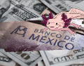El peso mexicano inició la jornada de este día con nuevas pérdidas frente al dólar estadounidense. ESPECIAL/ Pexels