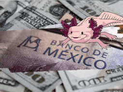 El peso mexicano inició la jornada de este día con nuevas pérdidas frente al dólar estadounidense. ESPECIAL/ Pexels