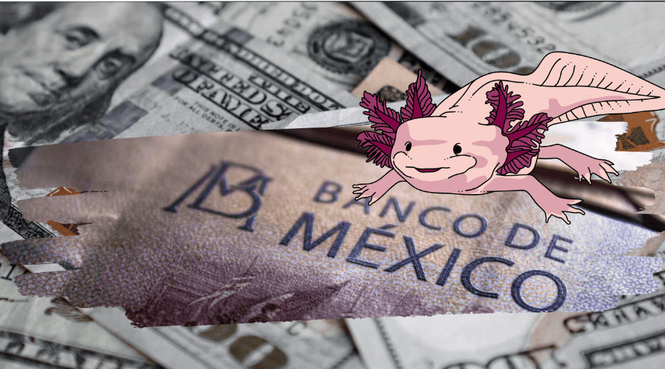 El peso mexicano inició la jornada de este día con nuevas pérdidas frente al dólar estadounidense. ESPECIAL/ Pexels