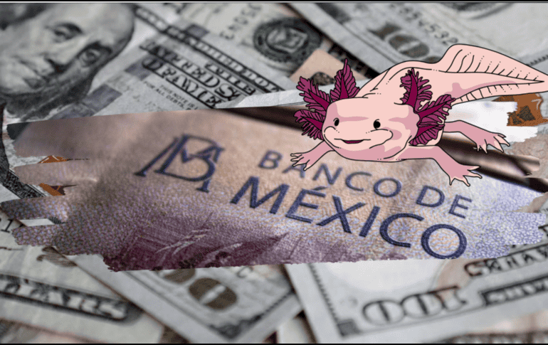 El peso mexicano inició la jornada de este día con nuevas pérdidas frente al dólar estadounidense. ESPECIAL/ Pexels