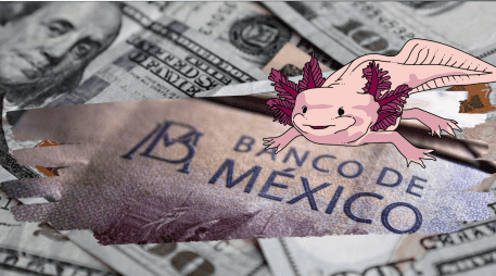 El peso mexicano inició la jornada de este día con nuevas pérdidas frente al dólar estadounidense. ESPECIAL/ Pexels