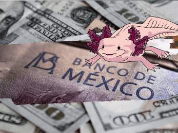 El peso mexicano inició la jornada de este día con nuevas pérdidas frente al dólar estadounidense. ESPECIAL/ Pexels