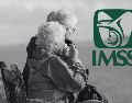 La modificación a la Modalidad 40 ha desatado fuertes críticas y opiniones encontradas de diversos especialistas. UNSPLASH / S. Godfrey