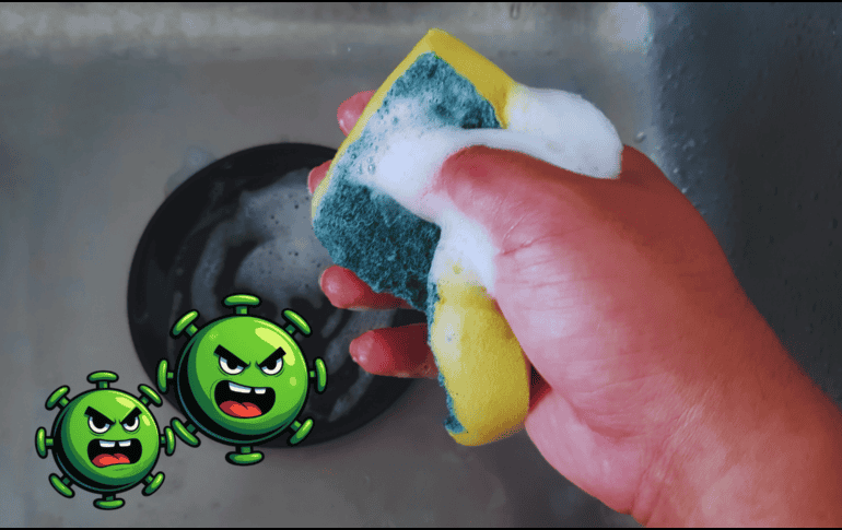La esponja de cocina tiende a acumular microorganismos, ya que la humedad y los restos de comida que se alojan en ella creando el ambiente ideal para generar bacterias. ESPECIAL / CANVA