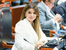 La diputada Gabriela Cárdenas urgió a la Comisión de Presupuesto a amparar los proyectos hídricos. ESPECIAL