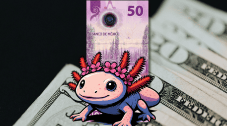 El peso mexicano acaba de registrar su séptima semana consecutiva de pérdidas frente al dólar, acercándose peligrosamente a la barrera de los 19 pesos. ESPECIAL / CANVA