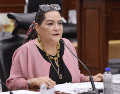 Guadalupe Taddei dijo estar a favor "de que se investigue a fondo, conforme a derecho y con pleno respeto al debido proceso". ESPECIAL/INE