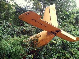 La Fuerza Aérea suspendió las operaciones de su flota de aviones SF-260 mientras se investigan las causas del accidente. ESPECIAL/PIXABAY