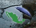 Mañana lluviosa y fría para diversos estados de la República Mexicana para este domingo de octubre. ESPECIAL / UNSPLASH Matt Hoffman