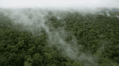 En foros de la ONU, Brasil ha promovido planes de reforestación masiva como el “Arco de la Restauración”, cuyos objetivos de recuperación para 2030 y 2050 dependen directamente del compromiso político del próximo gobierno.  ESPECIAL
