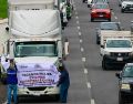 Las movilizaciones se registran en 19 estados de la República, lo que supone más de la mitad del país. EFE/F. Gutiérrez