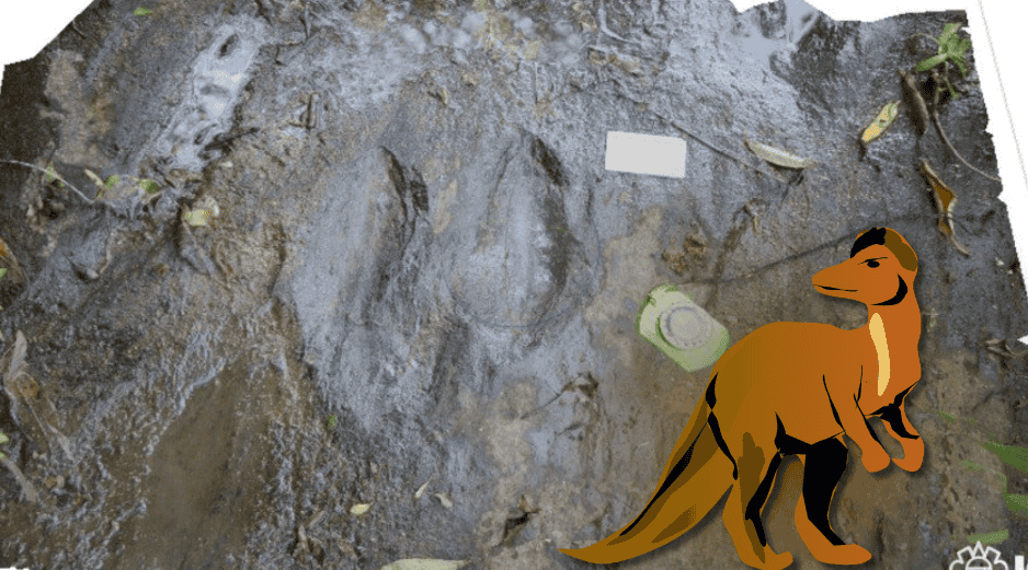 En este caso, las huellas podrían convertirse en una especie de mapa del movimiento de los dinosaurios que recorrieron aquella antigua región. CINAH Michoacán / ESPECIAL