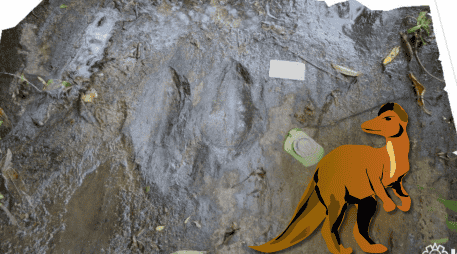 En este caso, las huellas podrían convertirse en una especie de mapa del movimiento de los dinosaurios que recorrieron aquella antigua región. CINAH Michoacán / ESPECIAL